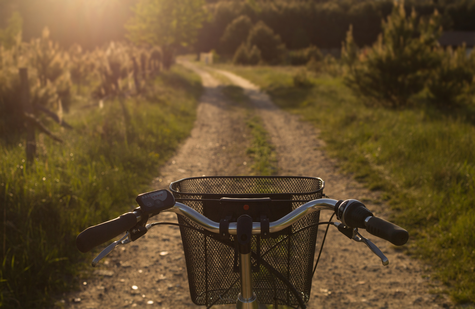 Bike basket, e-bike.